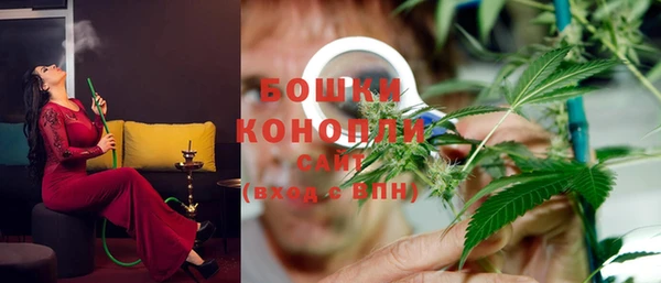 apvp Аркадак
