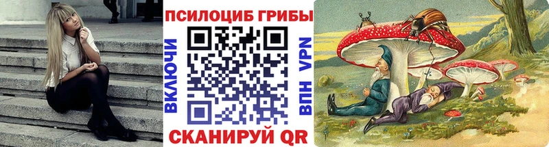 Галлюциногенные грибы Magic Shrooms  Белая Холуница 