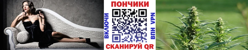 Шишки марихуана Amnesia  площадка официальный сайт  Белая Холуница  кракен ТОР 